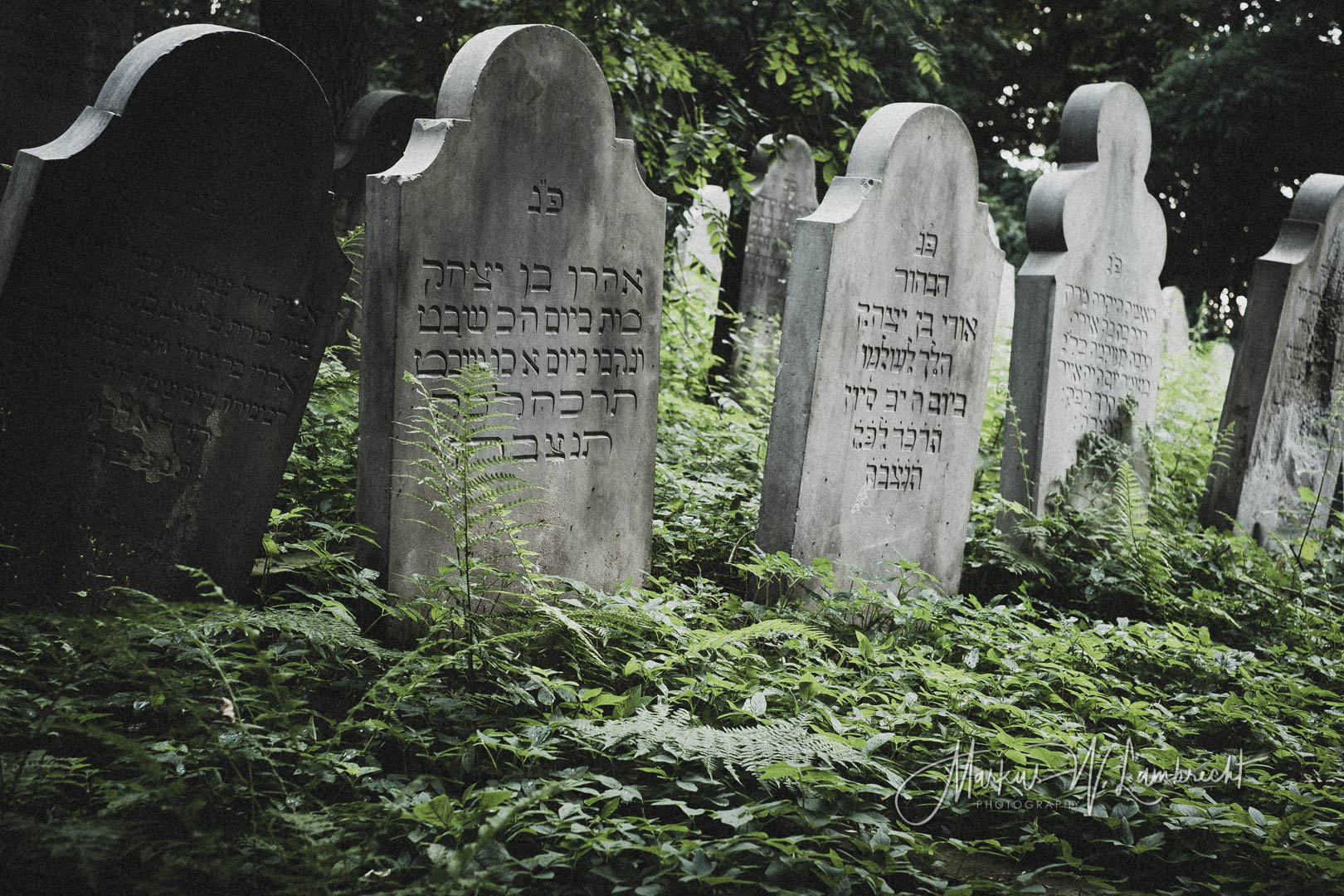 Bückeburg, Jüdischer Friedhof